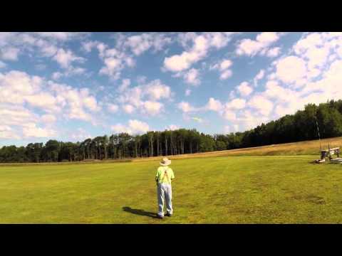 Marston Pterodactyl 52"