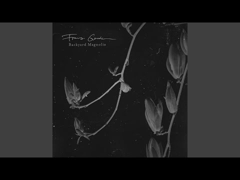 Under the Cherry Blossoms