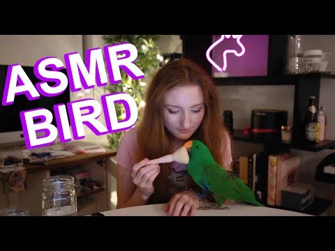 ASMR 10個觸發器幫助你入睡 ♥ ASMR親愛的(Parody) (ASMR 10 Triggers to Help You Sleep ♥ ASMR Darling (Parody))