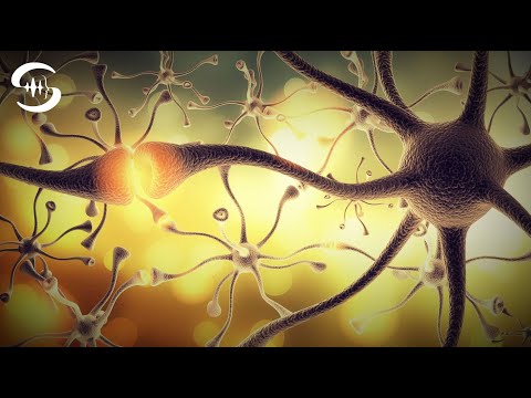 Sofortige Nerven Regeneration: Heilende Musik Nervensystem (isochrone Töne)