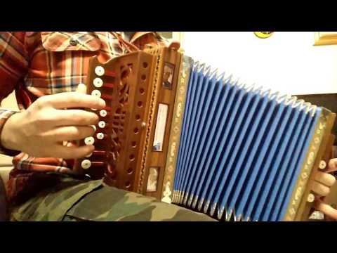 Polka teramana organetto