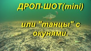 Зимняя ловля на дроп шот