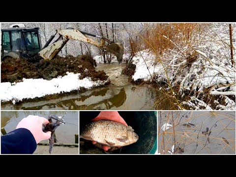 AM GOLIT BALTA DE ACASA ! CE AM GASIT IN EA ?