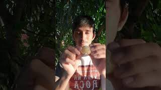 Por que eu sumi? A Fazenda Quatro Irmãos está crescendo!#shorts #shortvideo #song #short #subscribe