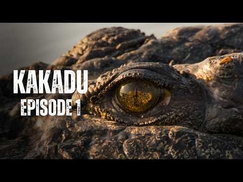 KAKADU | FULL EPISODE "A Wild Year Ahead"