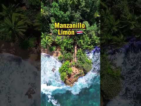 😲✨ ¡El PARAÍSO oculto del Caribe Sur que DEBES conocer! 🌴🌊 #manzanillo #limon #costarica #puravida