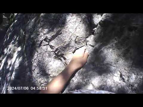 Tr. Regele Ferdinand gr. 6 -
