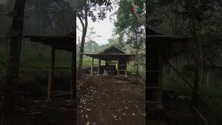 Download lagu Warung di tengah hutan gunung penanggungan mp3