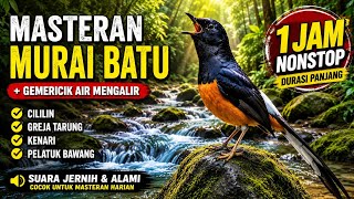 Download lagu Masteran Murai Batu Suara Gemericik Air Mengalir 1 Jam Non Stop Mudah Masuk Suara Jernih & Alami mp3 Download lagu Masteran Murai Batu Suara Gemericik Air Mengalir 1 Jam Non Stop Mudah Masuk Suara Jernih & Alami mp3