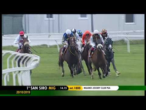 2019.10.20 Premio Milano Jockey Club Stakes Psa (ITA) - Hajres