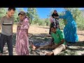 Life In A Cave Halima S Plan To Expose Mr Karam S Lies In The Mountains
