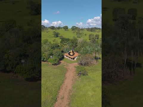 🌿 OPORTUNIDADE – CHÁCARA PRODUTIVA EM SÃO FRANCISCO DE GOIÁS 🌿#drone #chácara #sítio #agro