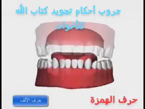 حرف الهمزة- ء- The Arabic letter hamzah