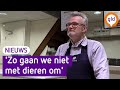 Vraag naar kwaliteitsvlees stijgt na slachterijfilmpjes
