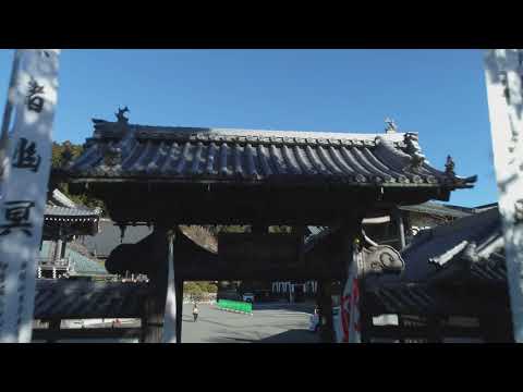 身延空中散歩～身延山・新春part2～
