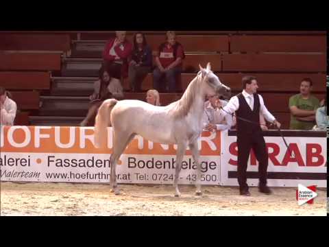 Wels 2015 - Class 2A