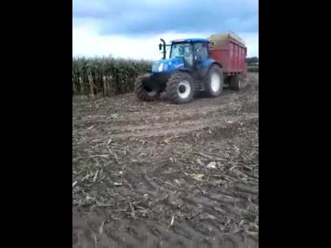 Loon en Grondwerken Van Mulders druk bezig met mais aan het hakselen