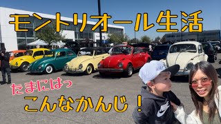 カーミート、お買い物。そしてドーナツ🍩。そんな1日。