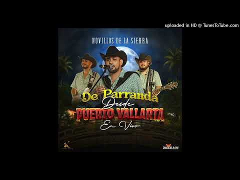 Novillos de la Sierra Ft Luis R Conroquez y Joel De La P - Las Letras Gemelas (En Vivo)