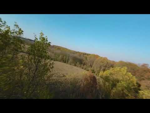 Christopher Abt video