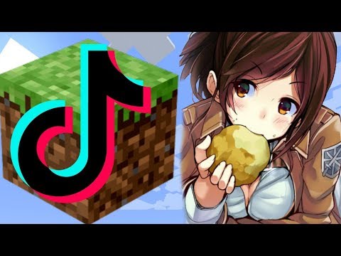 TikTok: SUGOI Anime Minecraft Crossover