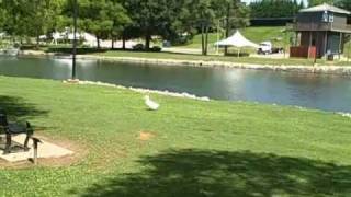 preview picture of video 'Tuscumbia Alabama walking tour 2010 part two'