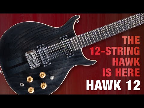 Washburn H12TB | Wing Series Hawk 12-String Electric Guitar, Trans Black. New with Full Warranty! image 26