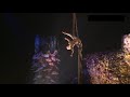 Cirique du Soleil Ovo Aerial Silks (Cocoon)