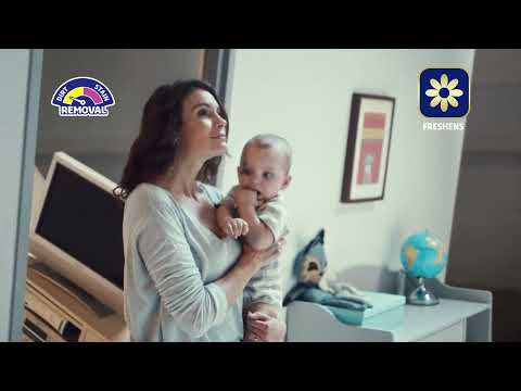 Vanish Gold Carpet Care Foam! Trust Pink. Revive Carpets.