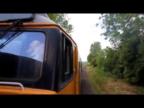 50019 Thrash | MNR | 2011/05/21