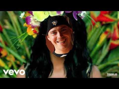 Katy Perry Feat.Słoń - ROAR (BelaBlend)