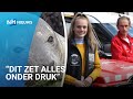 Toekomst Reddingsteam Zeedieren in gevaar