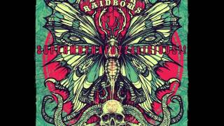 Black Rainbows - Lady