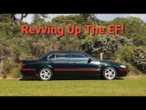 EF XR6 Ford Falcon Walk Around & Revs