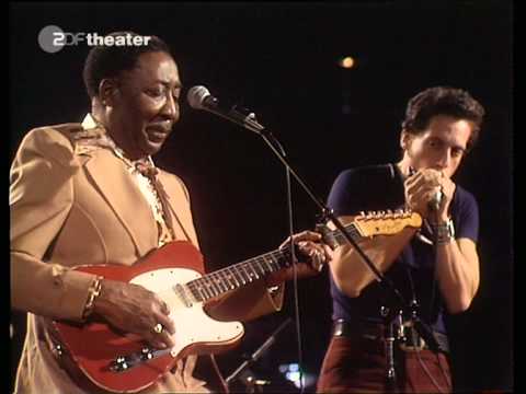 Muddy Waters - Live Dortmund, Germany 29/10/1976