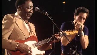 Muddy Waters - Live Dortmund, Germany 29/10/1976