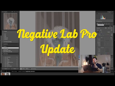 Negative Lab Pro Update || #NegativeLabPro #FilmScanning #FilmPhotography