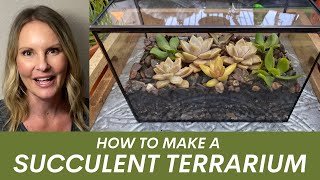 How to make a succulent terrarium by Ferrisland with Moody Blooms