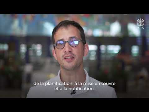 Inventaire forestier national: Cours tutoré en ligne