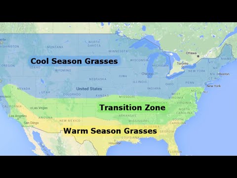 How To Pick The Right Grass