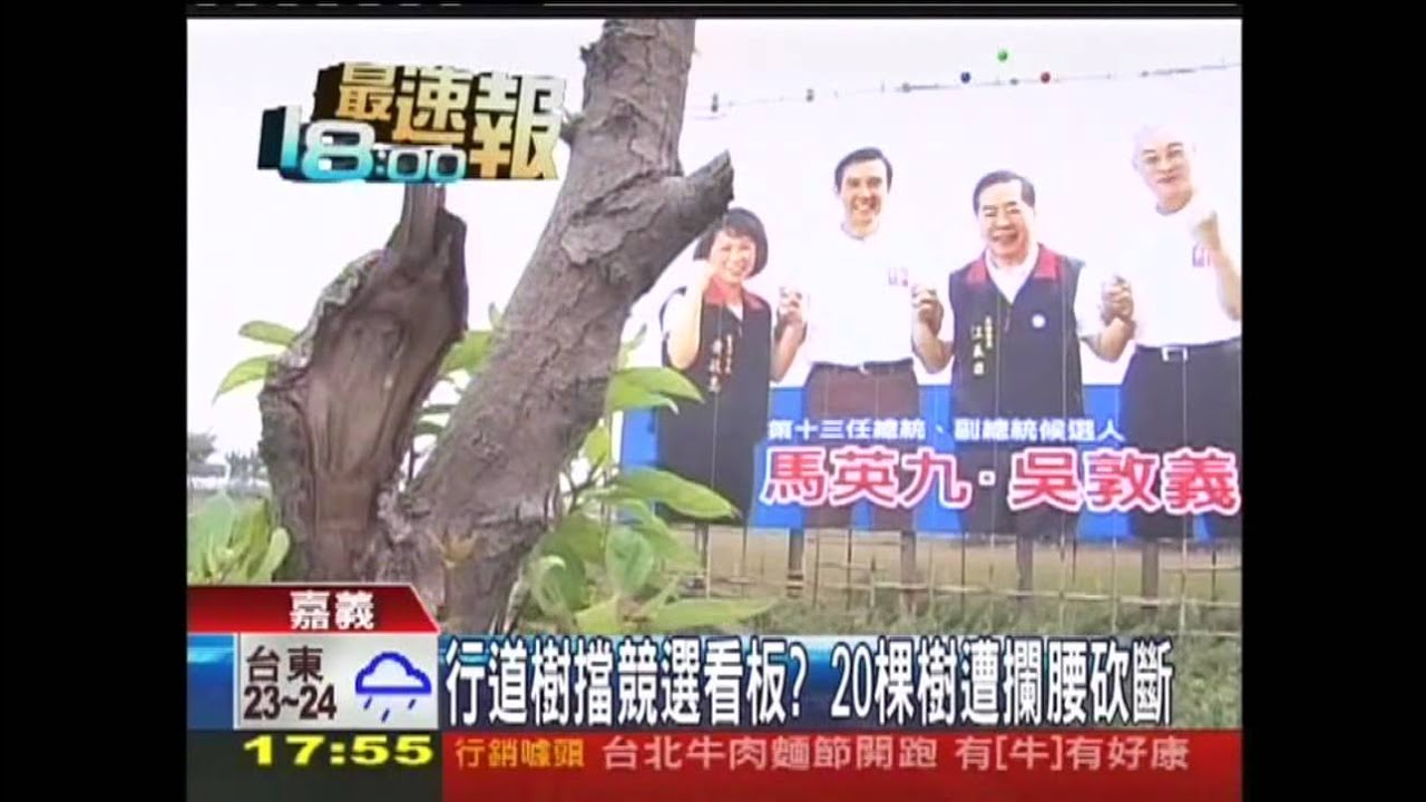 行道樹擋競選看板？　20棵樹遭攔腰砍斷
