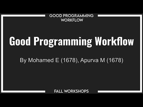 Fall Workshops 2020 - Good Programming Workflow