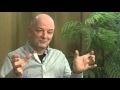 Irish Worship Leader Robin Mark - 2/2