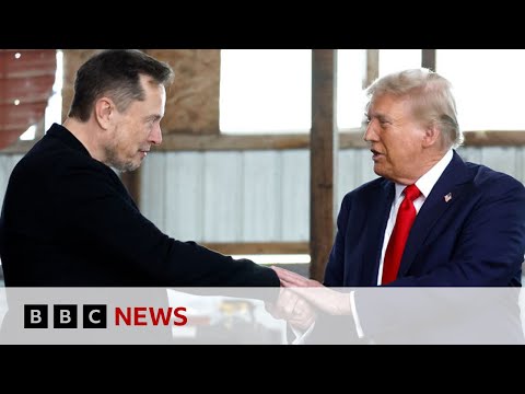 Video | Donald Trump picks Elon Musk to lead a Department of Government Efficiency | BBC News