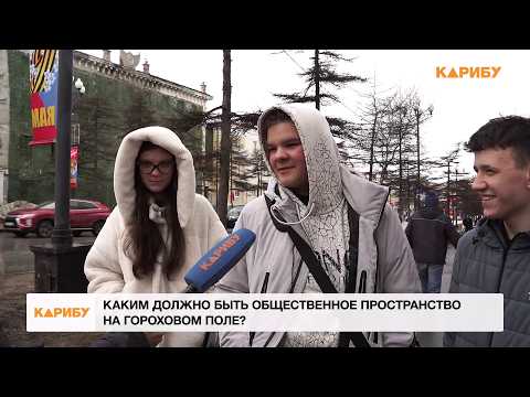 Каким должно быть общественное пространство на Гороховом поле?