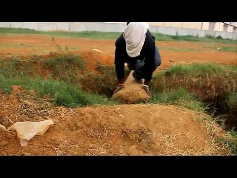 Video thumbnail for Old Friend