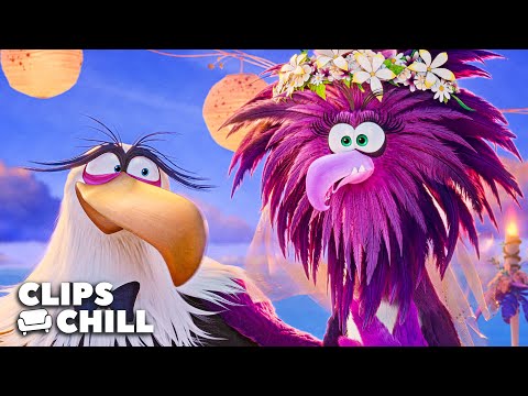 Zeta's and Mighty Eagle's Wedding | The Angry Birds Movie 2