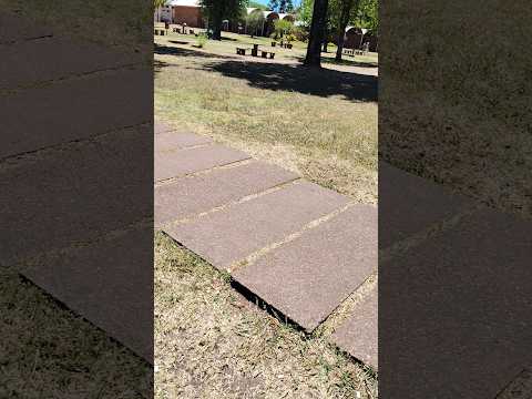 las termas del dayman               ubicado en:salto