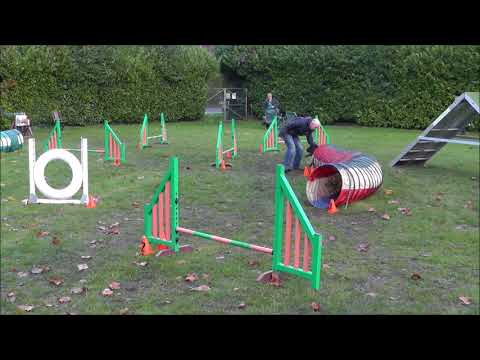 20171112 Preagility assessment Craig and Shadow