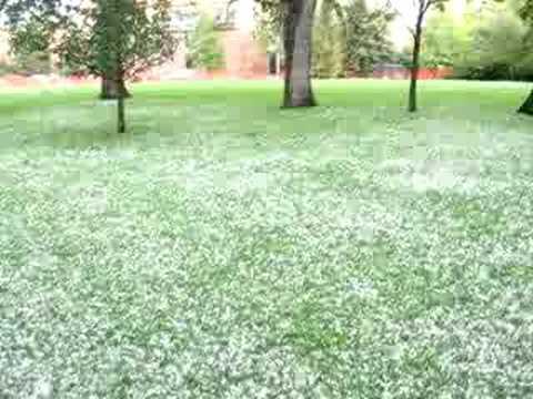 VINTAGE DLabrie -Boulder tornado Aftermathmatics